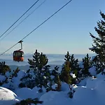 Anna Luxury * Shtarkelovo Gnezdo