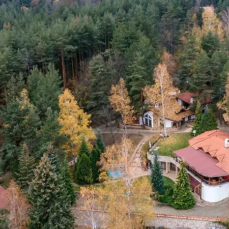 Anna Luxury Shtarkelovo Gnezdo