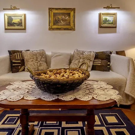 Anna Luxury Shtarkelovo Gnezdo